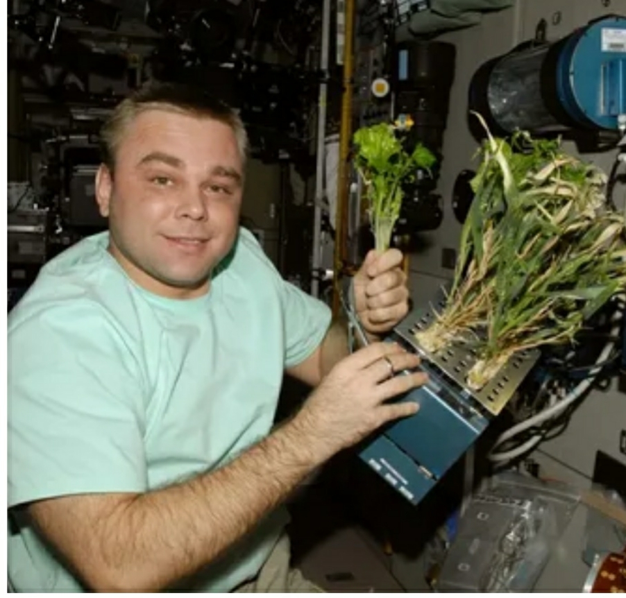 В МАИ состоялась интерактивная лекция «Как растения помогают осваивать космос».