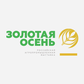 Золотая осень - 2017