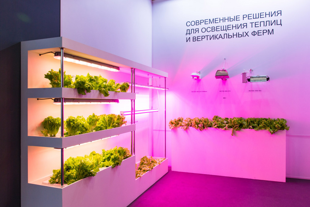 Защищенный грунт России_EL-2997.jpg